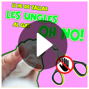 tallar-li les ungles a un gat cortarle las uñas a un gato etoleg feli etologo felino gatos que arañan cosas gats que esgarrapen coses